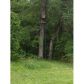 1077 Youngs Mill Road, Kingston, GA 30145 ID:10153881