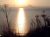 17215 Tidal Knoll Drive Burnt Cabins, PA 17215