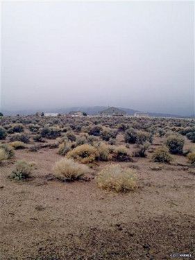 66 Canary Court, Smith, NV 89430