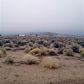 66 Canary Court, Smith, NV 89430 ID:10122041
