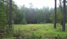 24 Sleepy Hollow Dr Fleming, GA 31309