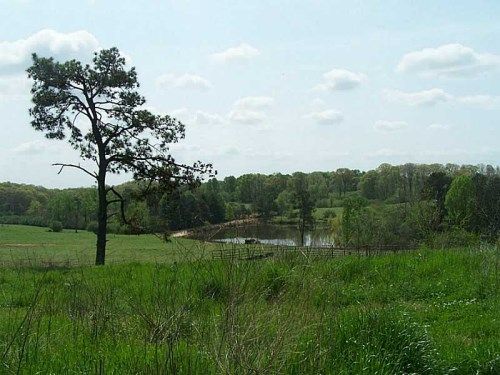 7061 Ransom Free Road, Clermont, GA 30527