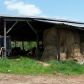 7061 Ransom Free Road, Clermont, GA 30527 ID:10201653
