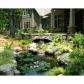 1010 Cox Mountain Drive, Jasper, GA 30143 ID:10156517