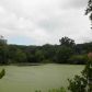 0 Cain Trail, Jasper, GA 30143 ID:10291733
