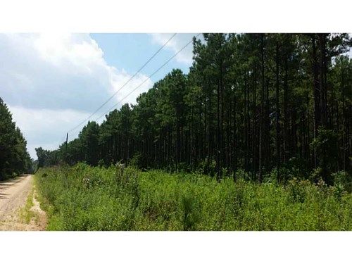 1871 Buffalo Lick Road, Greensboro, GA 30642