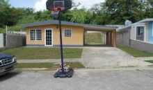 B-21 Roble St Santo Tomas Naguabo, PR 00718