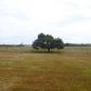 3861 Beechland Rd, Elberon, VA 23846 ID:10276904