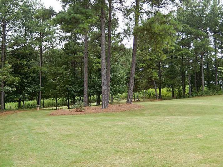 4501 White Horse Drive, Braselton, GA 30517