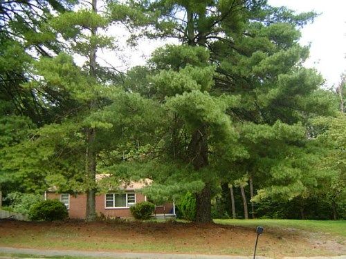 511 Church Road, Smyrna, GA 30082