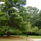 511 Church Road, Smyrna, GA 30082 ID:10159028