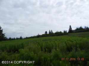 Tr. 15 Joe Super Street, Homer, AK 99603