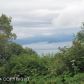 58745 Meadow Rim Road, Homer, AK 99603 ID:10172746