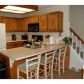 1510 Laurel River Trail, Lawrenceville, GA 30043 ID:10193579