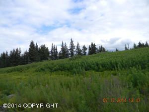 Tr. 9 Joe Super Street, Homer, AK 99603