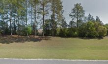 60Th Silver Springs, FL 34488