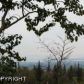 L9 B1 Prospect Drive, Anchorage, AK 99507 ID:10016968