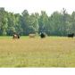 1601 Alps Road, Gay, GA 30218 ID:10154465