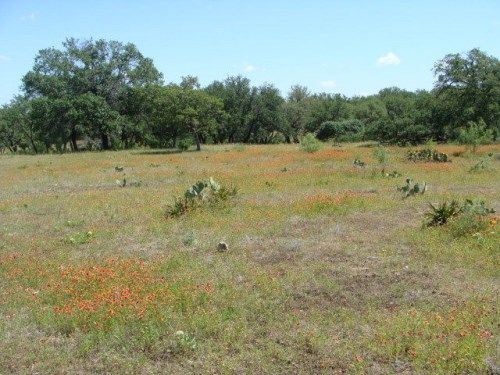 621 Deike Rd, Johnson City, TX 78636