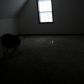 11497 Matthews Trail, Hampton, GA 30228 ID:10140438