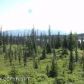 L16 B3 Caribou Homestead Loop, Homer, AK 99603 ID:10237596