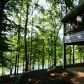 3830 Sinclair Shores Road, Cumming, GA 30041 ID:10096334