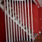 5448 Worthington Forest Pl W, Columbus, OH 43229 ID:10401404
