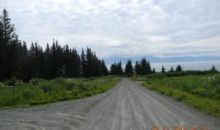 251 Meadow Court Homer, AK 99603