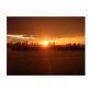 1500 BAY RD # 566S, Miami, FL 33161 ID:10343402