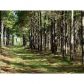 5852 Mitchell Road, Mitchell, GA 30820 ID:10190753