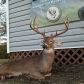 5852 Mitchell Road, Mitchell, GA 30820 ID:10190760