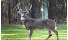 500 Chickasaw Trail Sparta, GA 31087