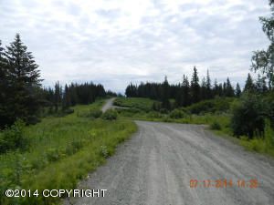 221 Meadow Court, Homer, AK 99603