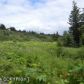 221 Meadow Court, Homer, AK 99603 ID:10139427