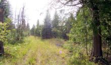 1180 HWY 57 Priest River, ID 83856