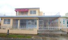 Lomas Verdes Y7 Calle Colombina Bayamon, PR 00956