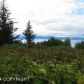 475 Paintbrush Court, Homer, AK 99603 ID:10139509