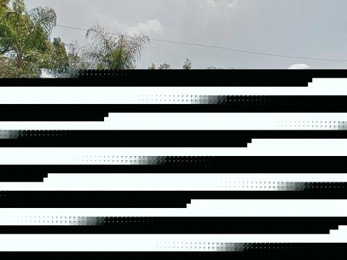 11Th, Wauchula, FL 33873