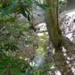 11 Buckskull Court, Jasper, GA 30143 ID:10039369