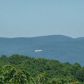 220 Bear Cub Ridge, Jasper, GA 30143 ID:10039072