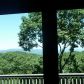 220 Bear Cub Ridge, Jasper, GA 30143 ID:10039076