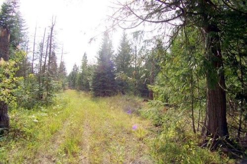 1180 HWY 57, Priest River, ID 83856