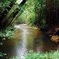 1254 Nimblewill Creek Road, Dahlonega, GA 30533 ID:10509853