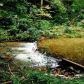 1254 Nimblewill Creek Road, Dahlonega, GA 30533 ID:10509855