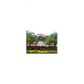 7280 NW 114 AV # 201-8, Miami, FL 33178 ID:10302077
