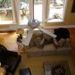 445 Hickory Trail, Jasper, GA 30143 ID:10065744