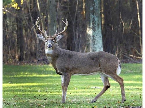 500 Chickasaw Trail, Sparta, GA 31087