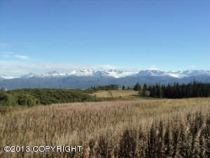 L1 Ranch Lane, Homer, AK 99603