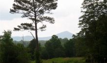 725 Watson Lake Road Ranger, GA 30734