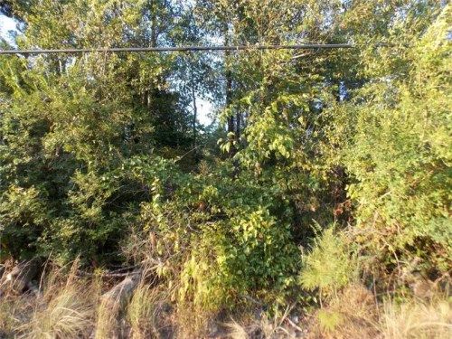 0 Prior Station Road, Cedartown, GA 30125